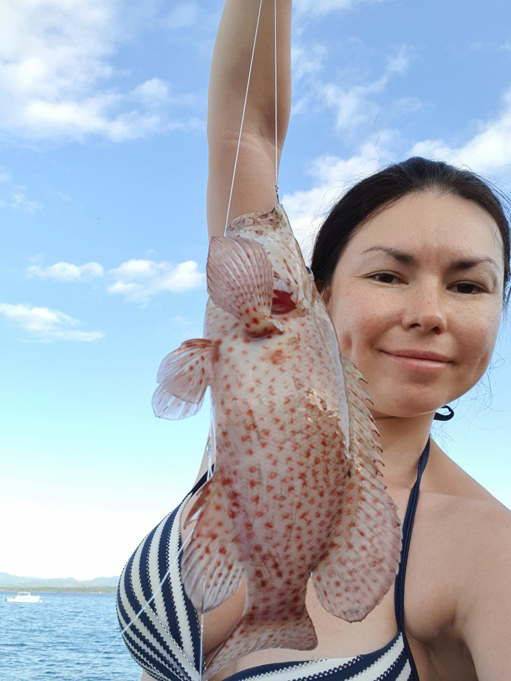 Пятнистый группер – фотографии Доминиканы