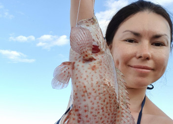 Пятнистый группер – фотографии Доминиканы