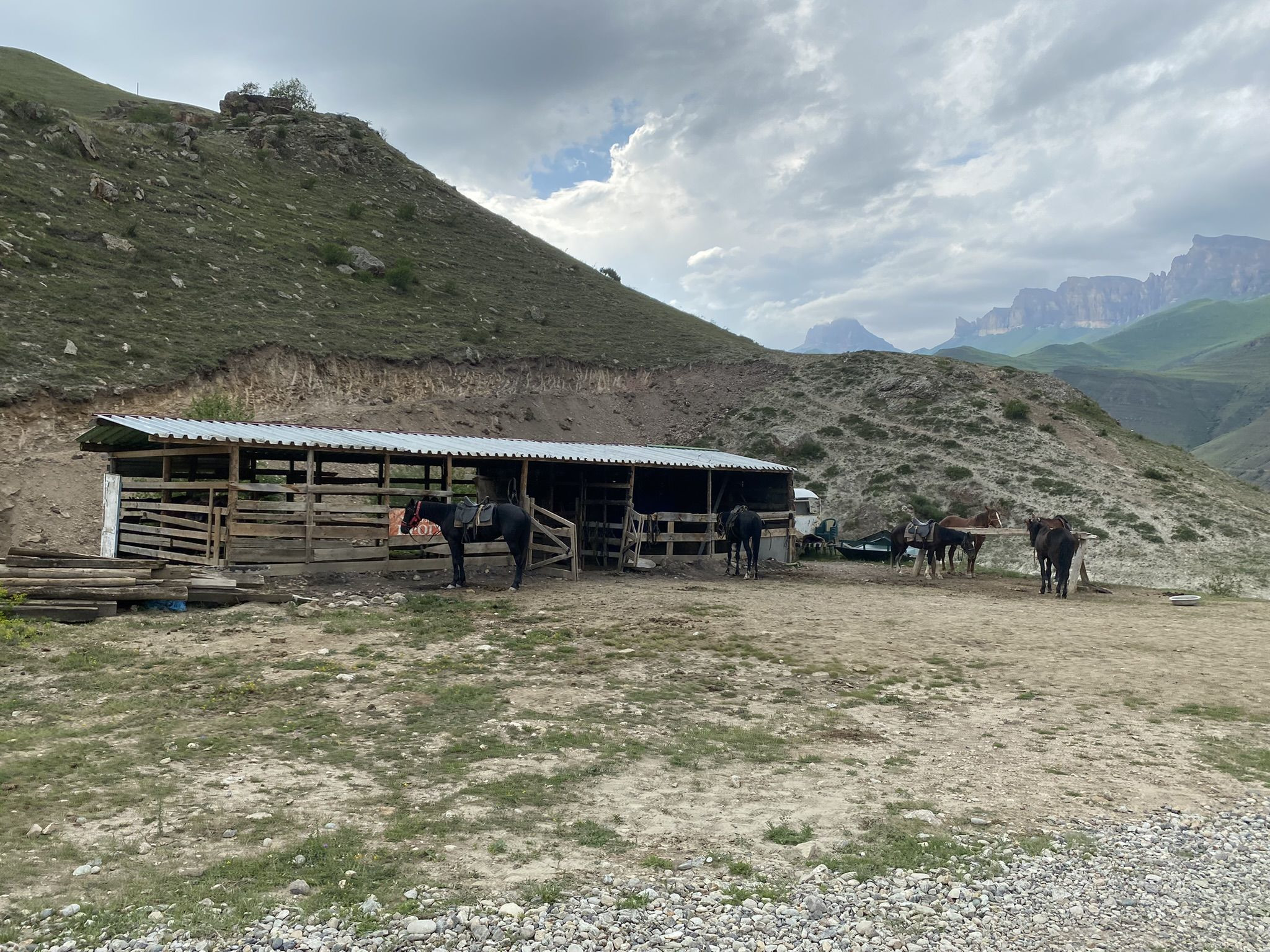 Лошади у берега озеро Гижгит – фотографии России