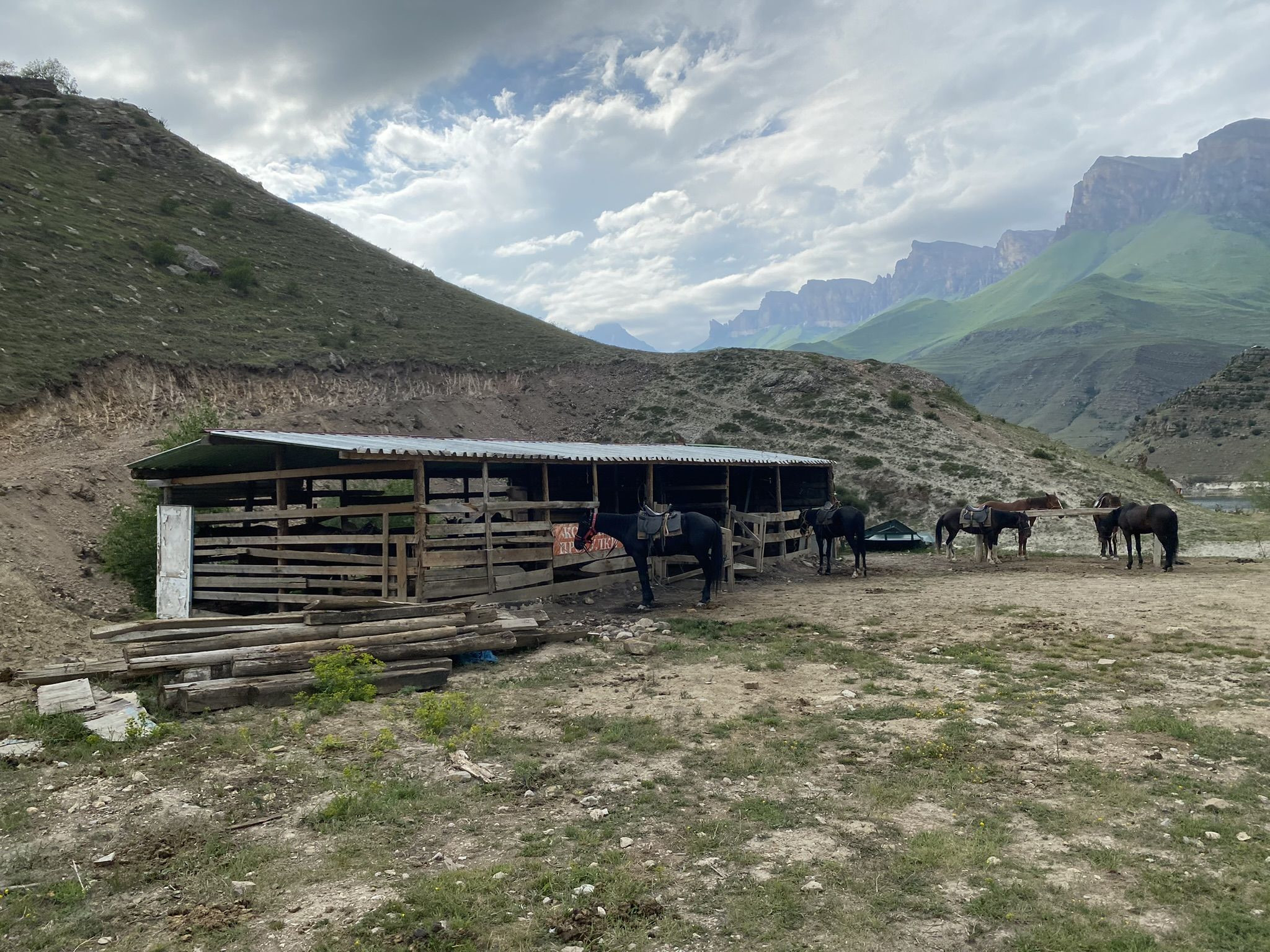 Конные прогулки на берегу озеро Гижгит – фотографии России