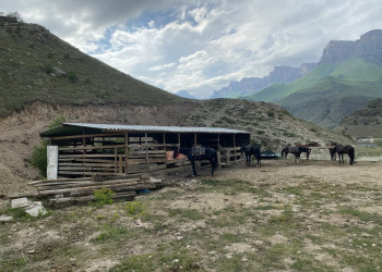 Конные прогулки на берегу озеро Гижгит – фотографии России