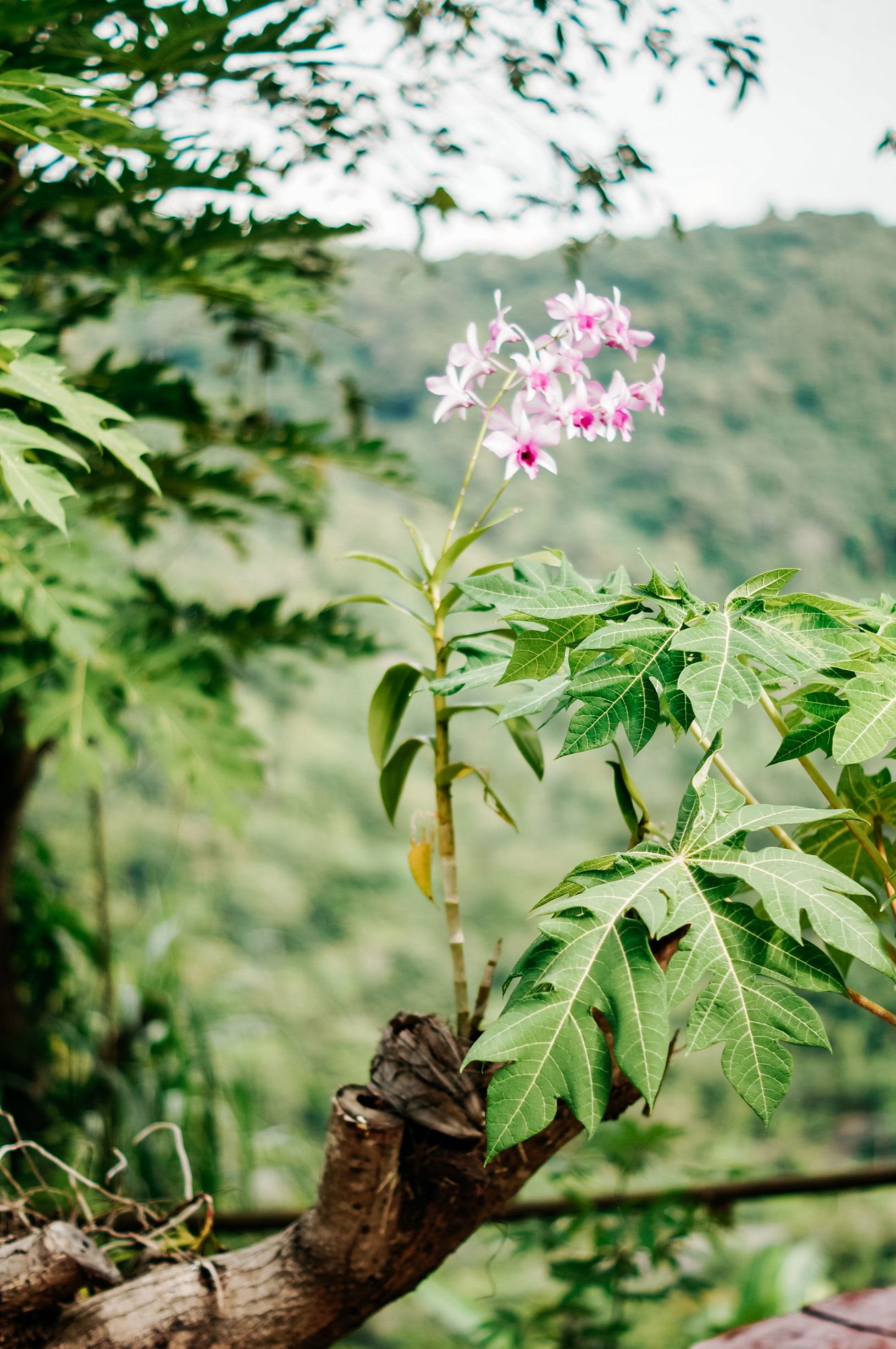 Патонг – фотографии Таиланда