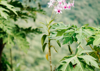 Патонг – фотографии Таиланда