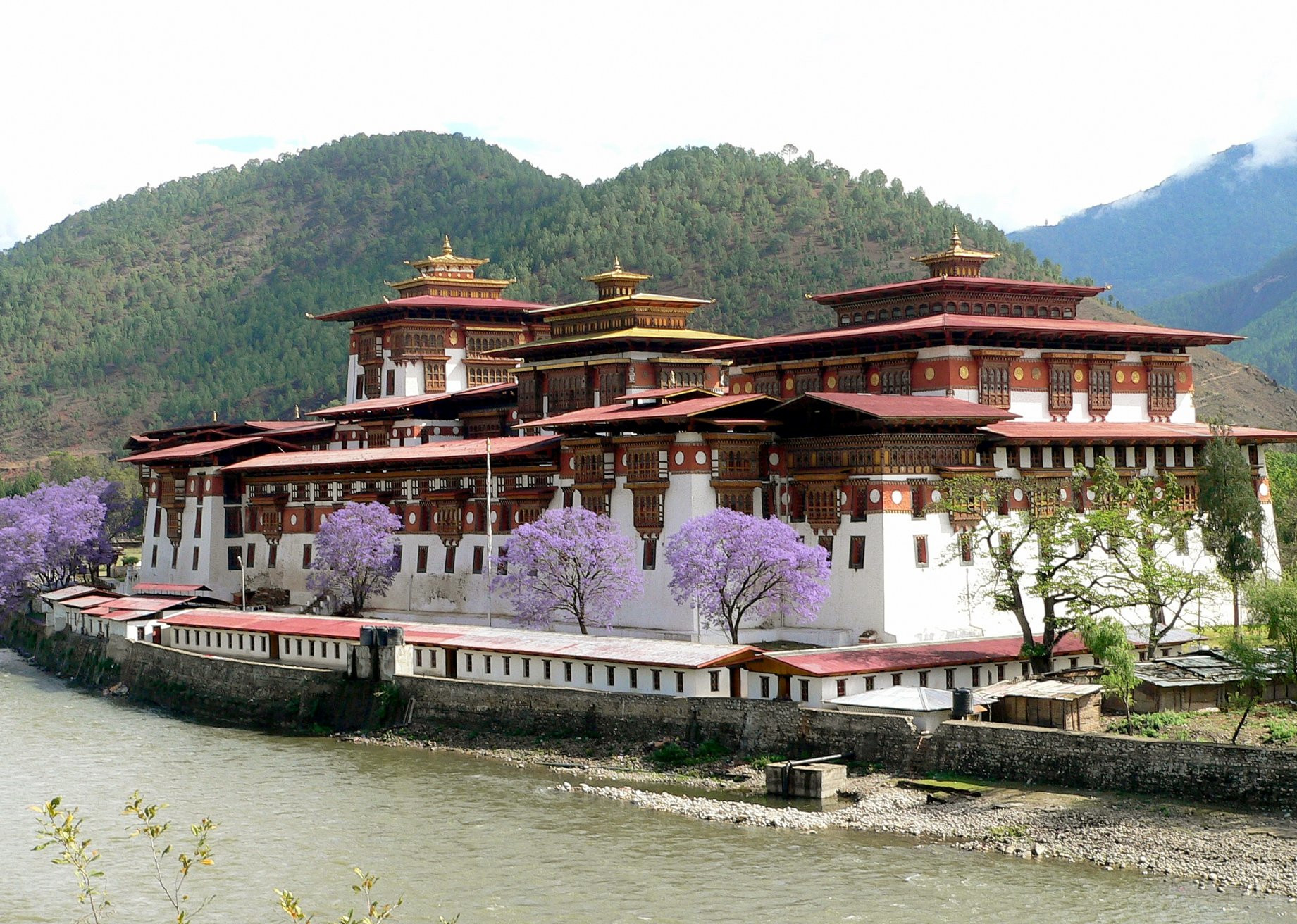 Пунакха-дзонг (Punakha Dzong) – фотографии Бутана