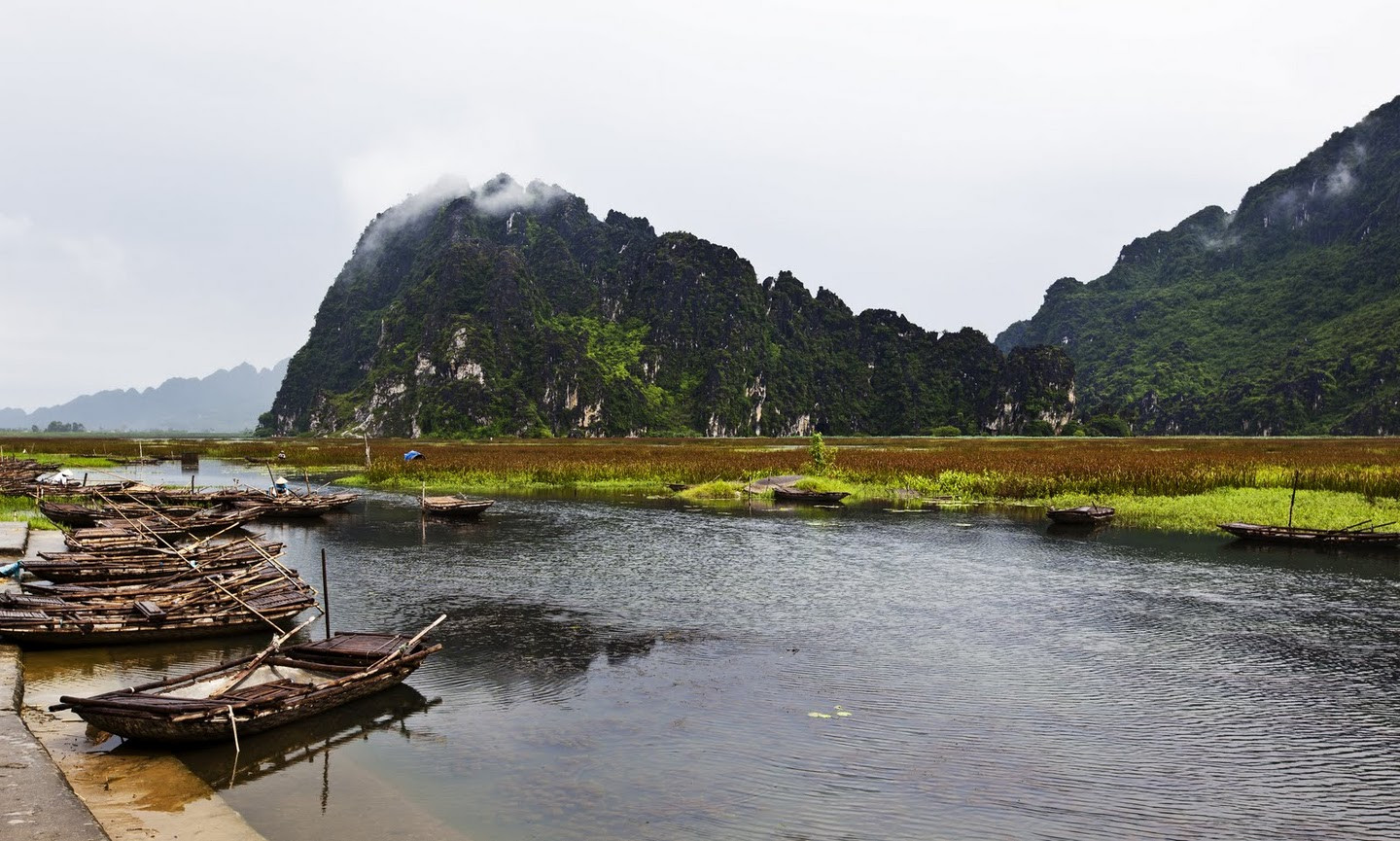 В заповеднике водно-болотных угодий Ван-Лонг – фотографии Вьетнама
