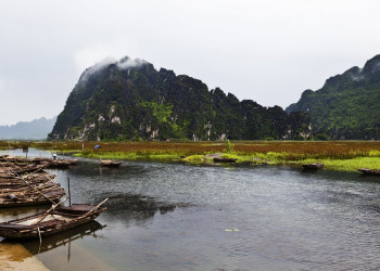 В заповеднике водно-болотных угодий Ван-Лонг – фотографии Вьетнама