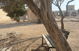 Крепость Кызкалеси (тур. Kızkalesi — Девичья крепость), провинция Мерсин, фото 3 – фотографии Турции