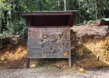 Национальный парк Ла-Тигра (Parque Nacional La Tigra) – фотографии Гондураса