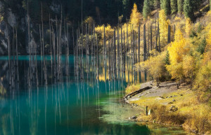 Озеро Каинди 11 – фотографии Казахстана