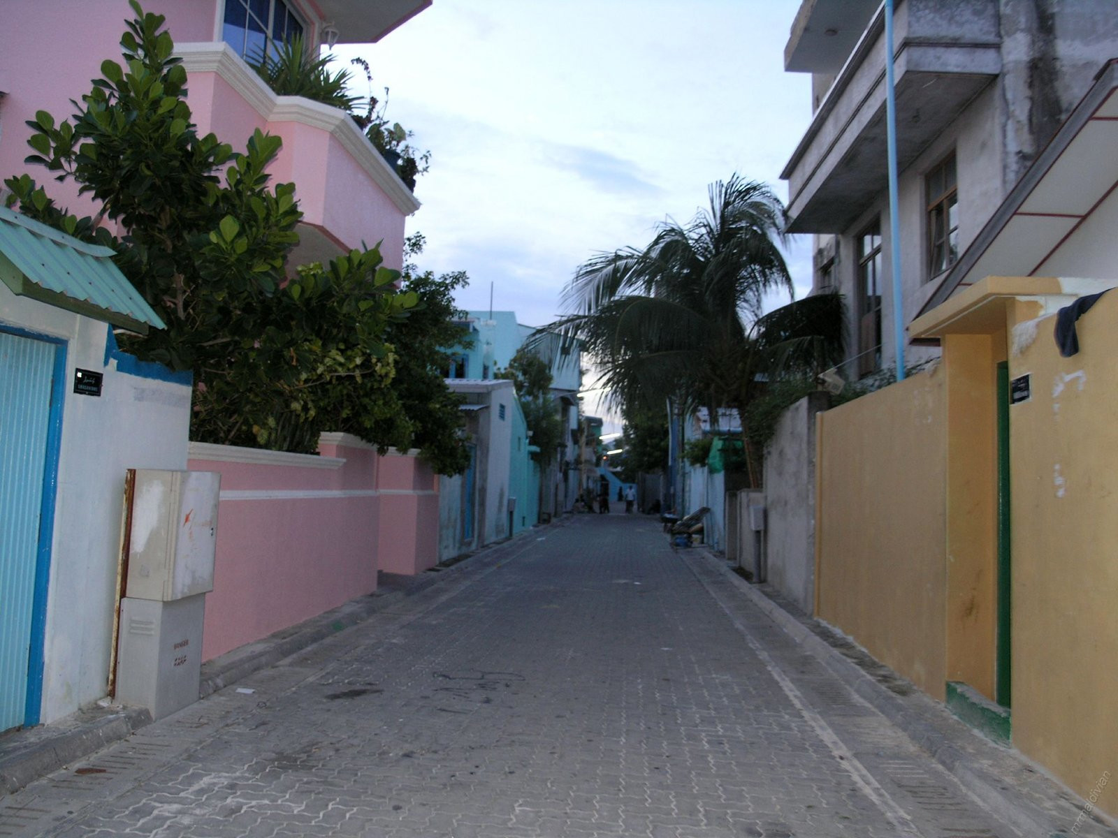 Вилингили (Vilingili) – фотографии Мальдивских островов