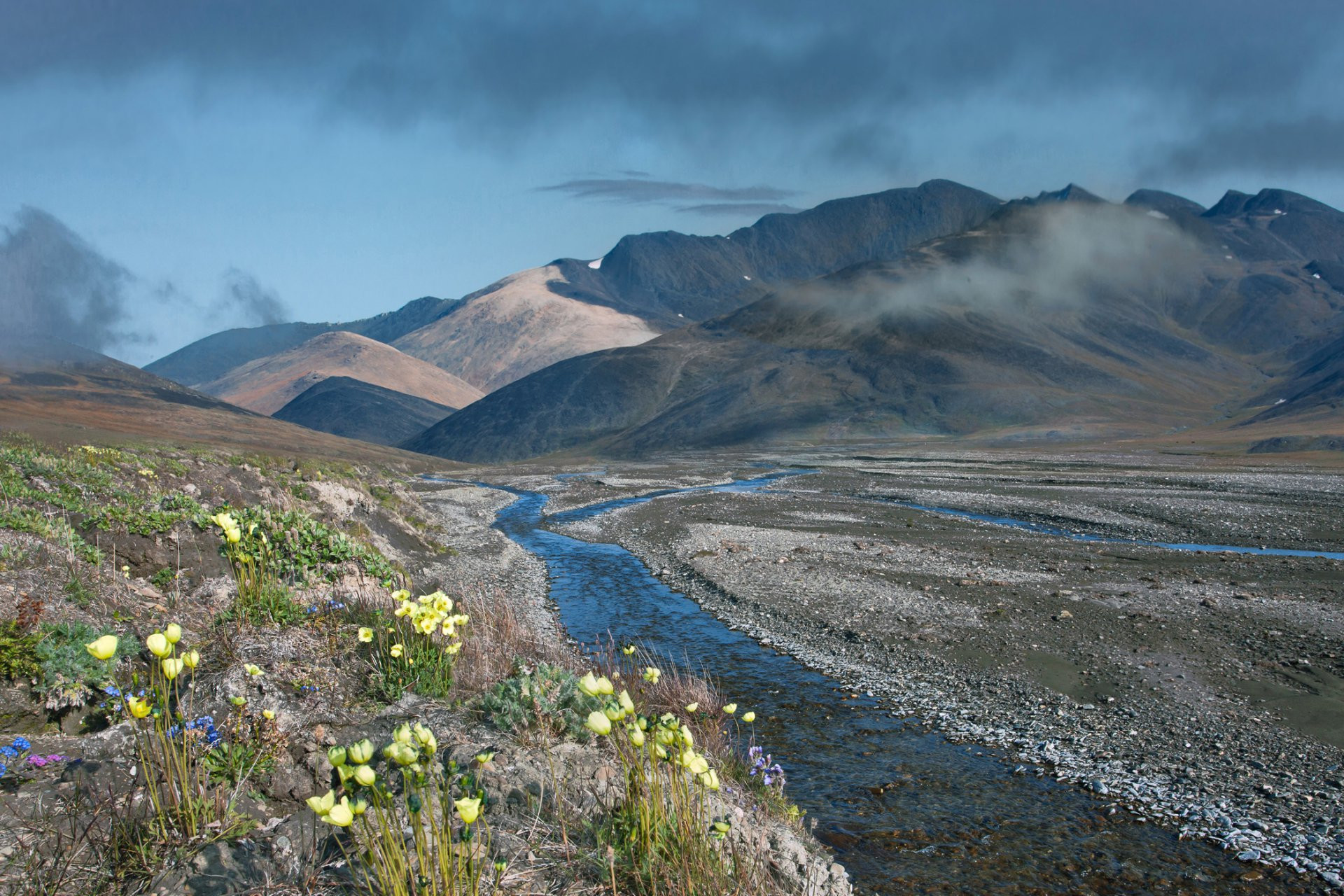 Труднодоступный заповедник остров Врангеля (Wrangel Island), Чукотка, Россия – фотографии России