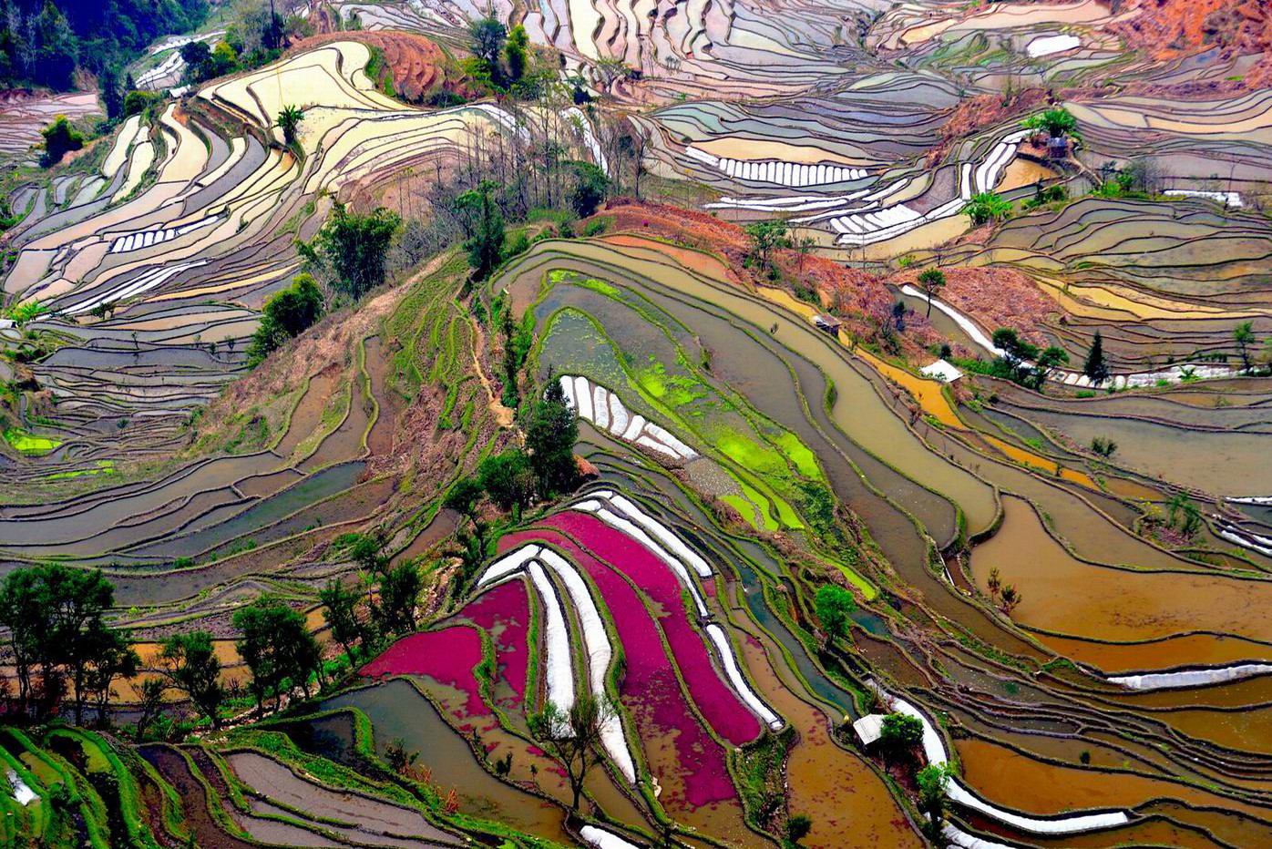 Зрелищные рисовые террасы Хунхэ-Хани (Honghe Hani Rice Terraces), Китай – фотографии Китая