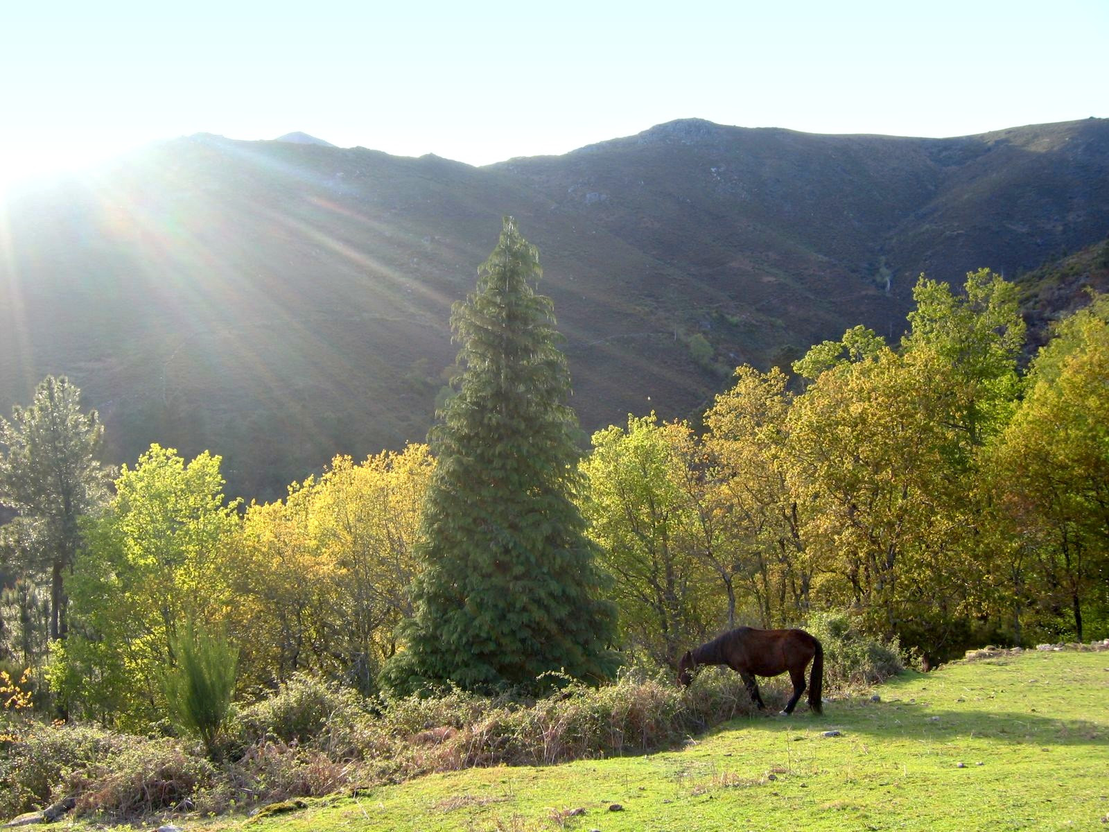 Впечатляющий парк Пенеда-Жереш в Португалии – фотографии Португалии