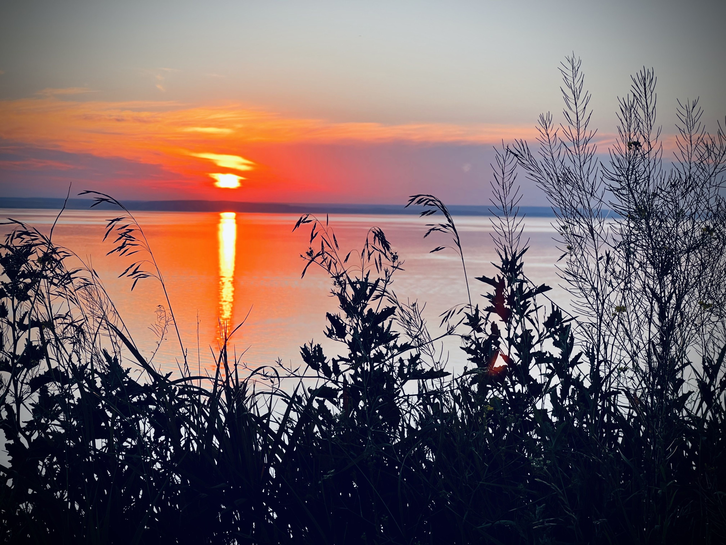 2 – фотографии