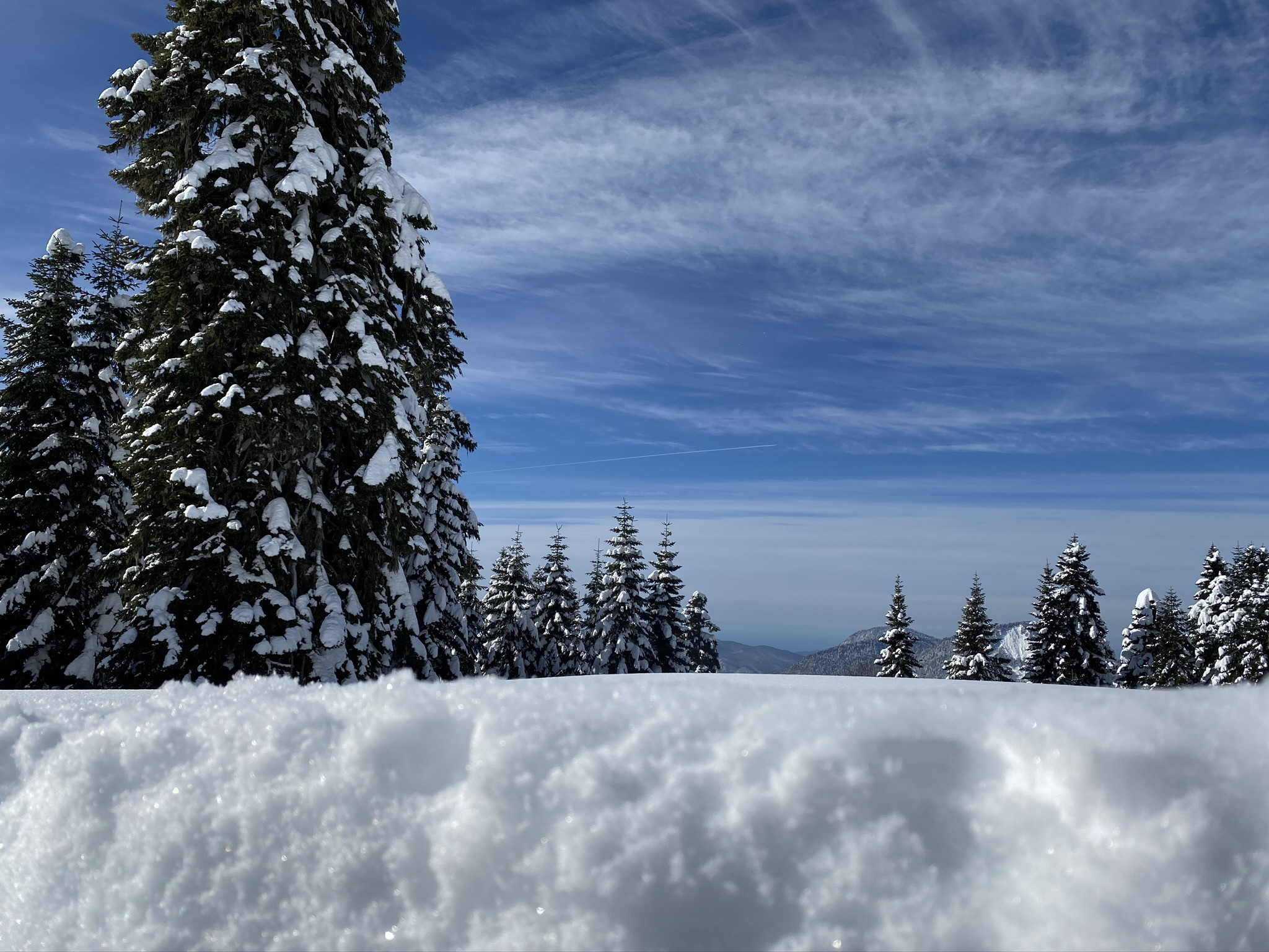 Пейзажи Южного склона на Роза Хутор – фотографии России