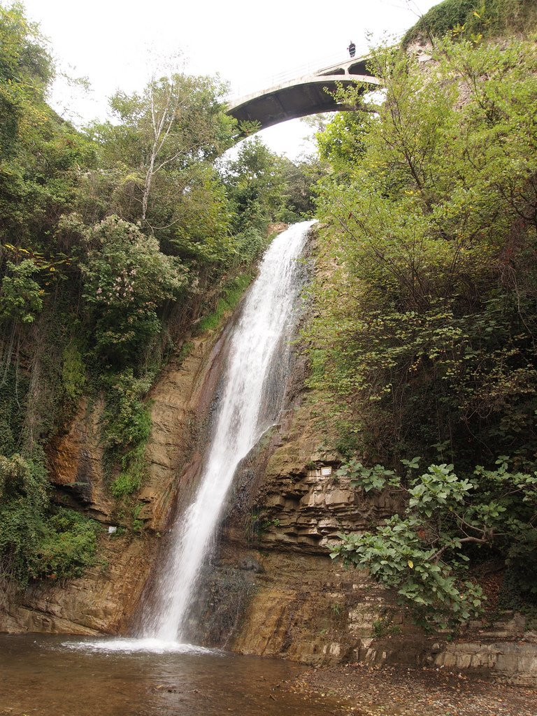Тбилисский ботанический сад – фотографии Грузии