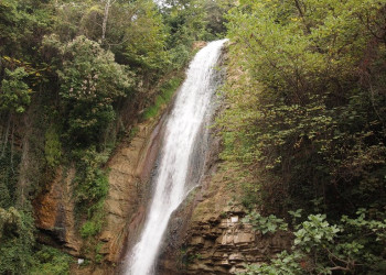 Тбилисский ботанический сад – фотографии Грузии