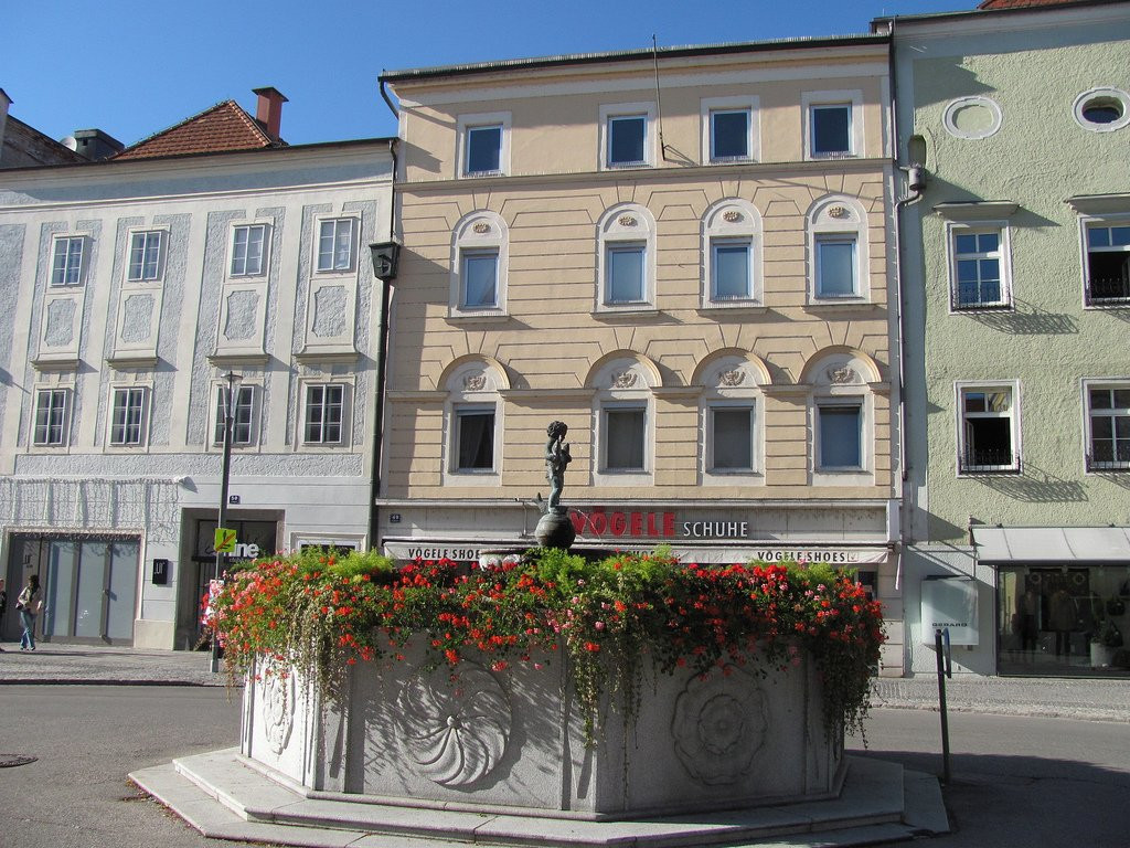 Цветущая клумба на площади. Вельс. Австрия – фотографии Австрии