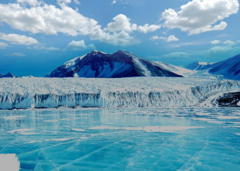 Заповедник остров Врангеля (Wrangel Island) на Чукотке, Россия – фотографии России