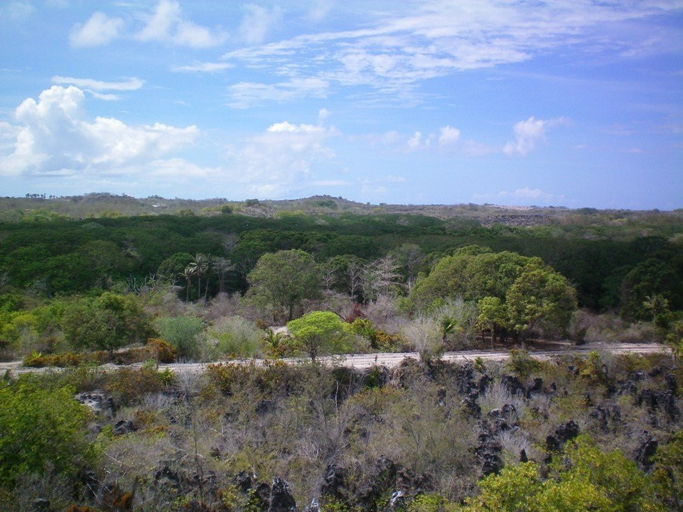 Территория леса. Остров Науру – фотографии Науру