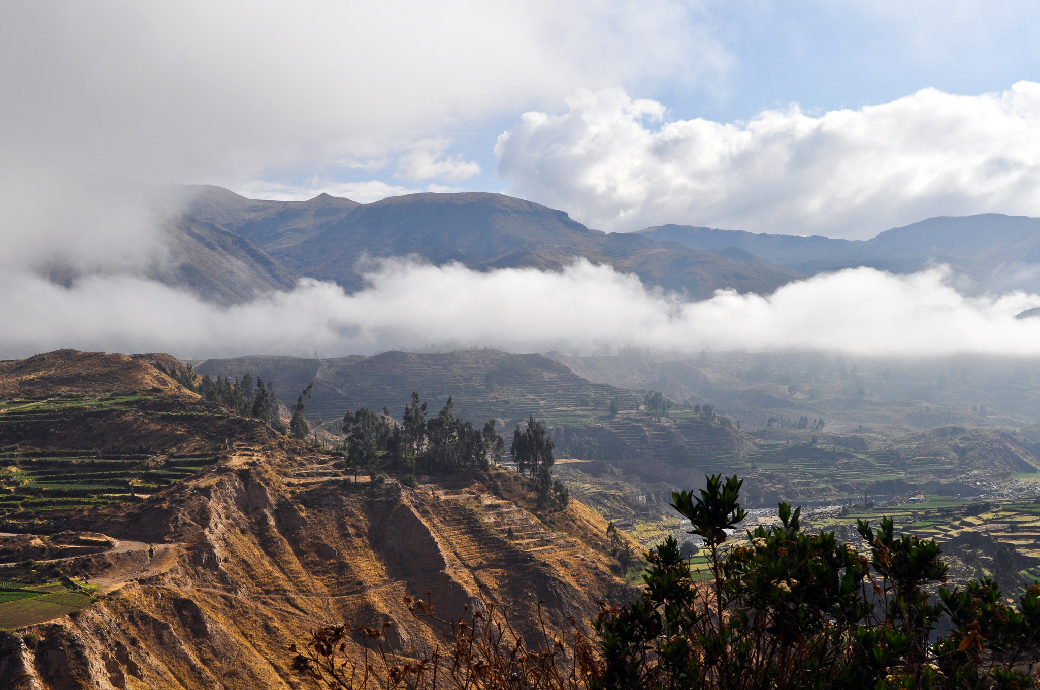 Каньона Колка на юге Перу – фотографии Перу