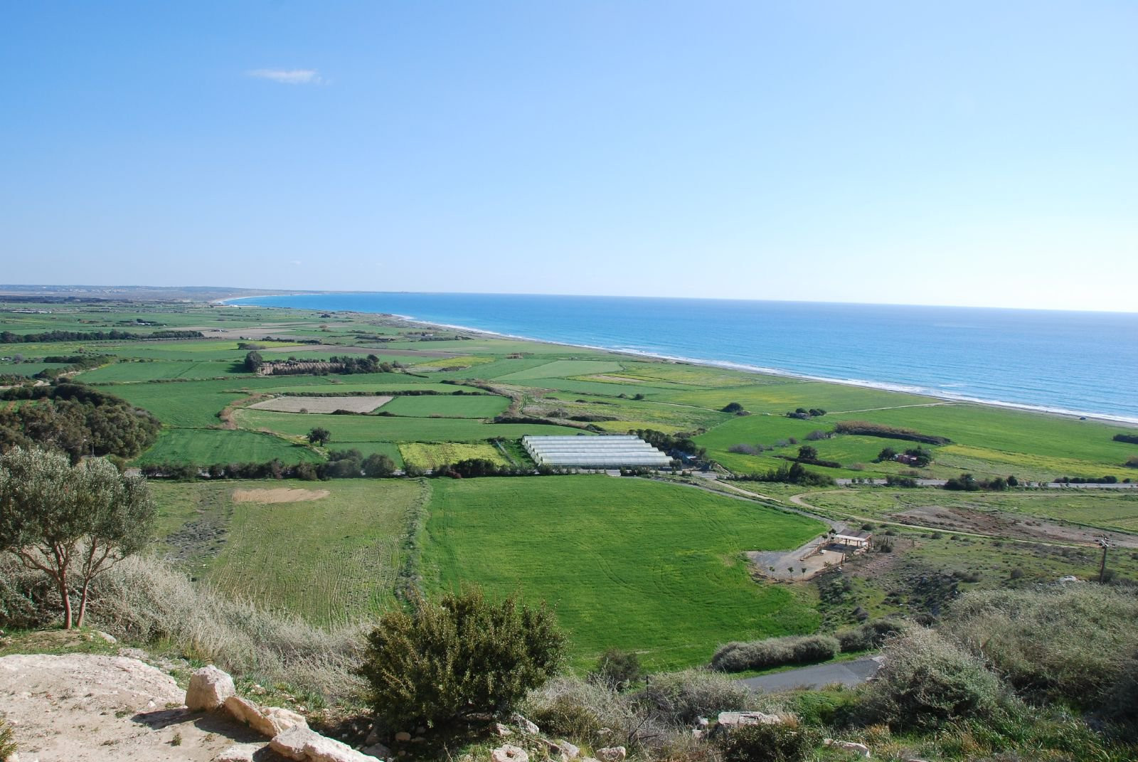 Лимассол, Кипр, фото № 38287 – фотографии Кипра