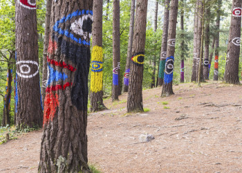 Для создания живого произведения искусства в 1984 году Агустин Ибаррола выбрал лес в Стране Басков – фотографии Испании