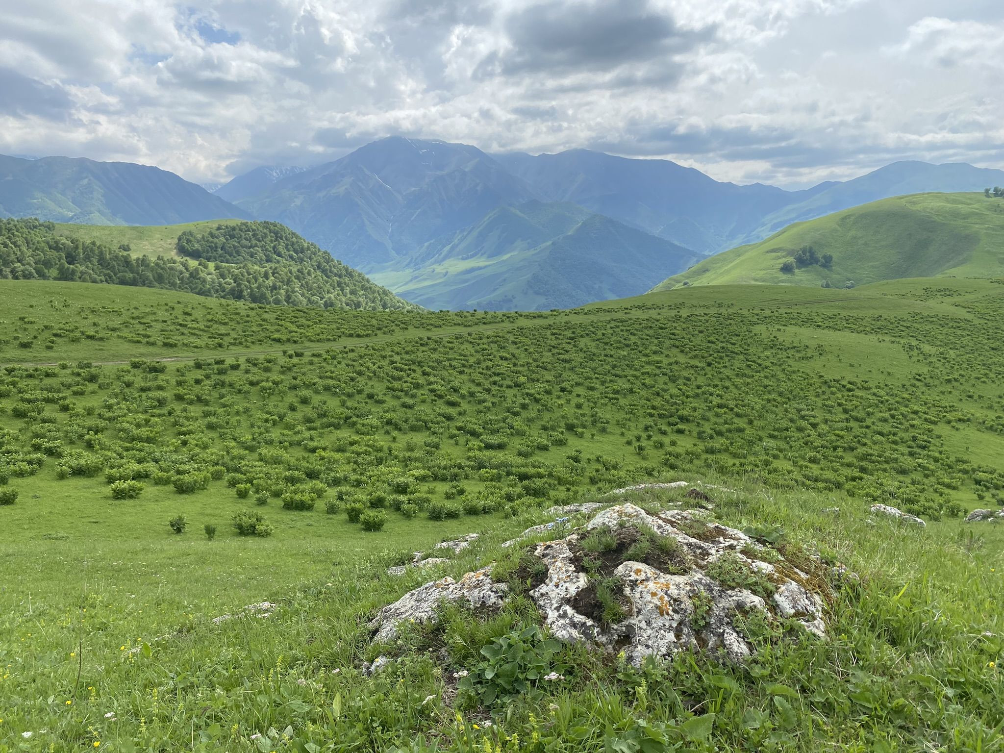 Пейзажи перевала Актопрак, июнь 2022 года – фотографии России