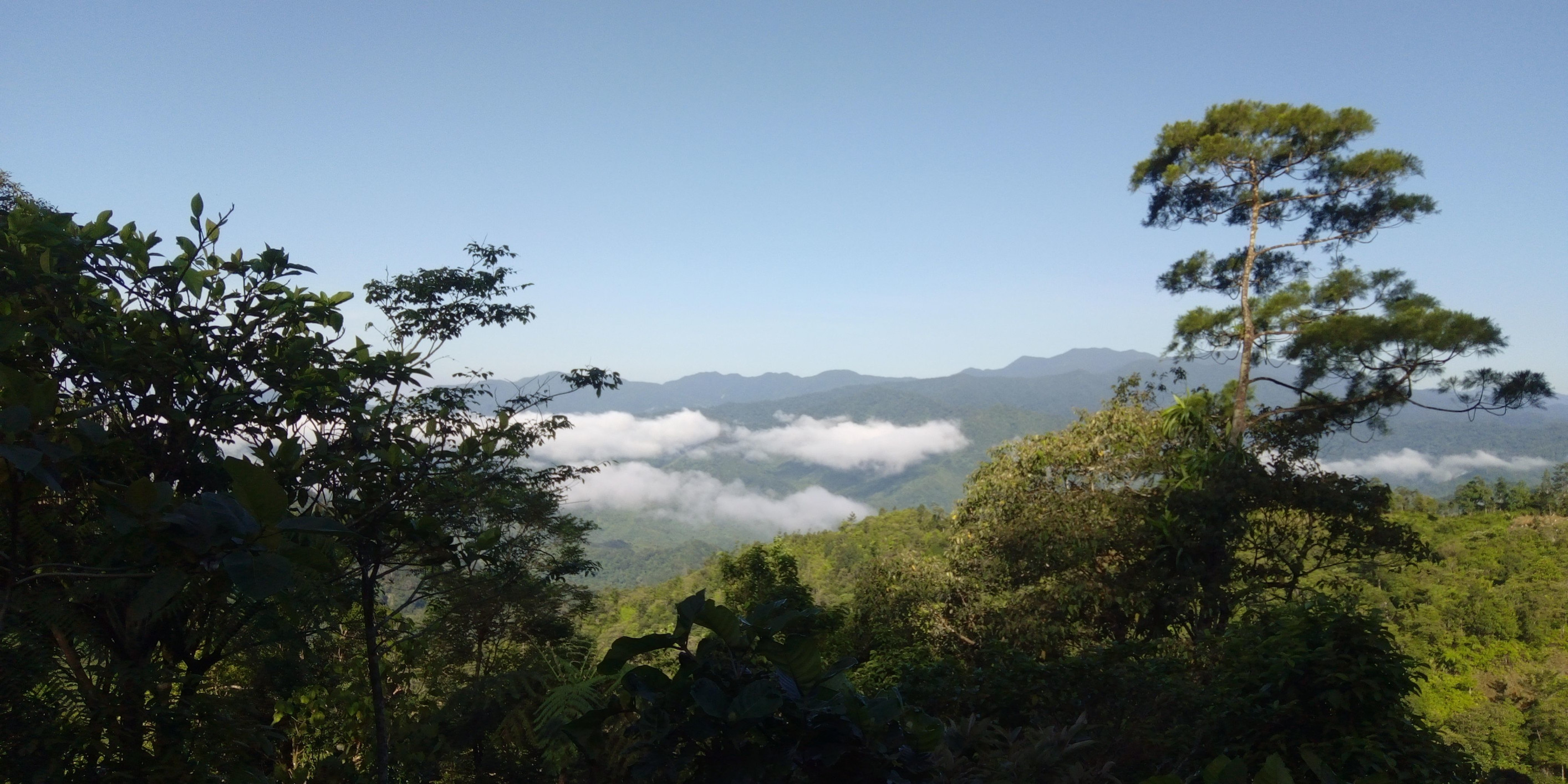 *** – фотографии