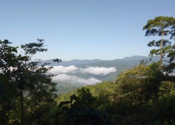 *** – фотографии