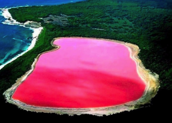 Розовое озеро (Lac Rose), Сенегал – фотографии Сенегала