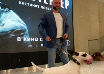 Примьера – фотографии