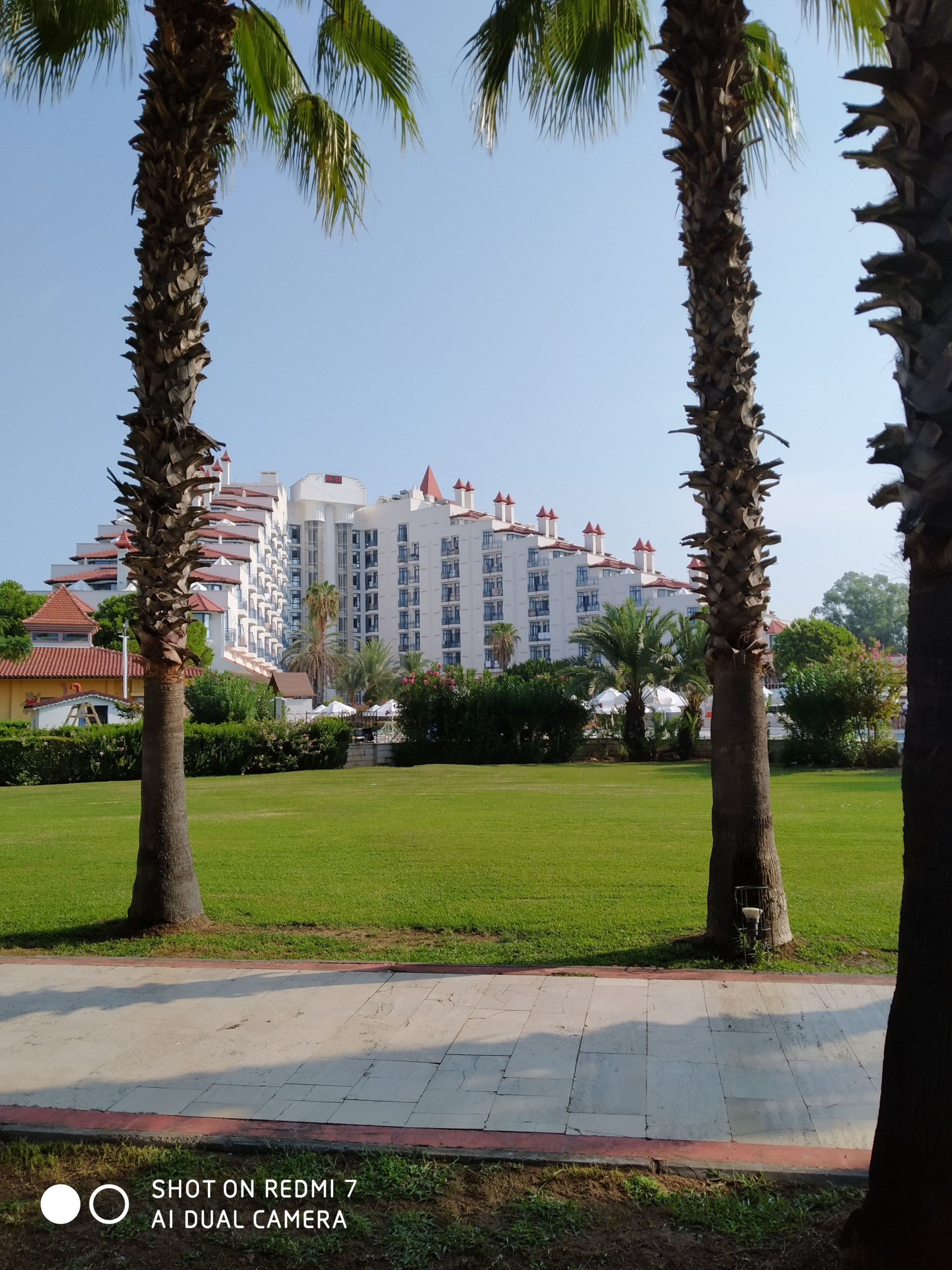 Green Max – фотографии