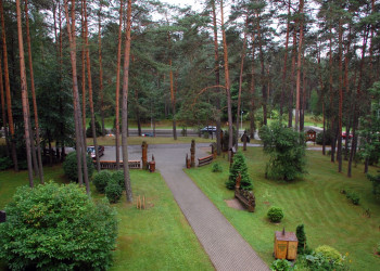 Музей Лесное Эхо в городе Друскининкай – фотографии Литвы
