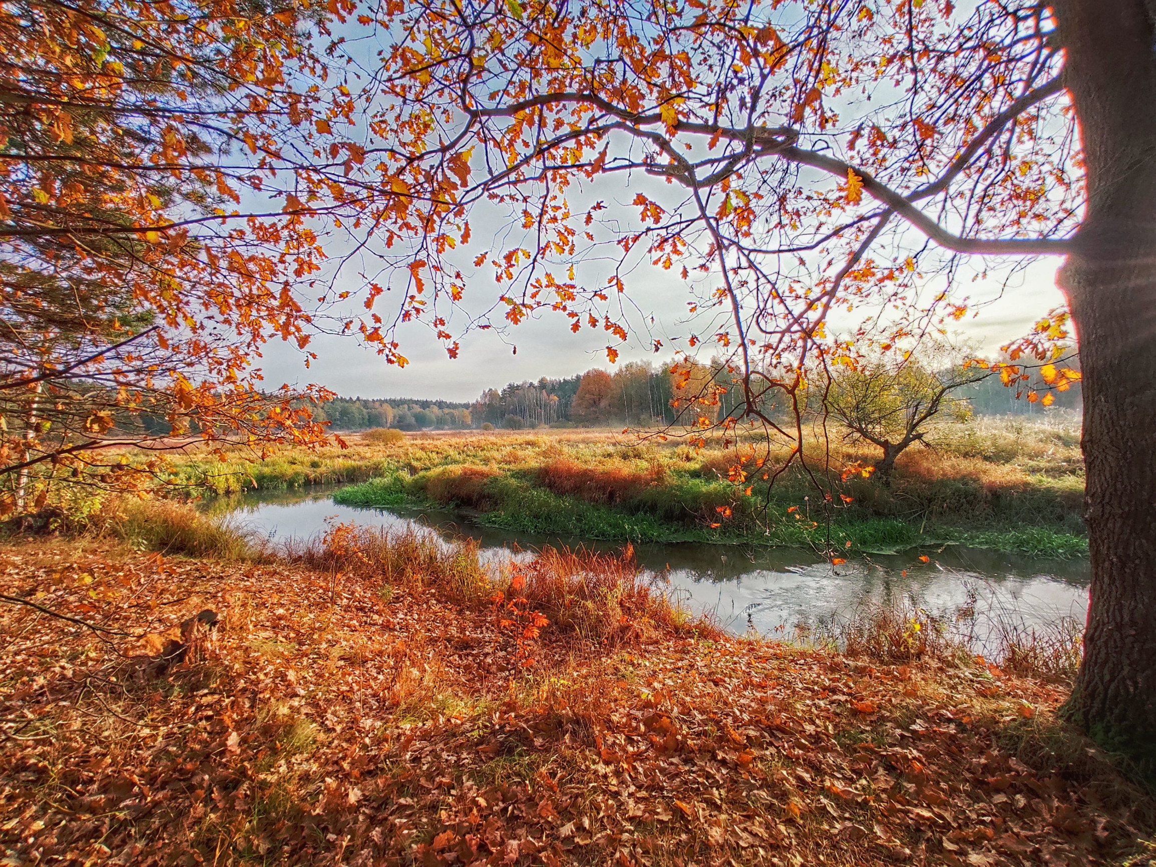 4 – фотографии России