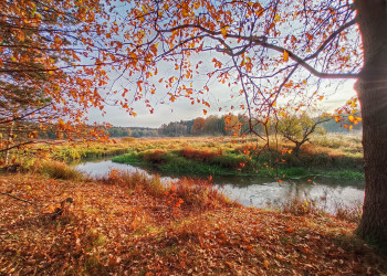 4 – фотографии России