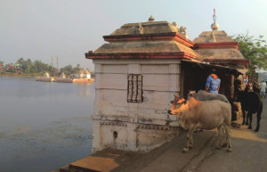 Храм Лингараджа 12 – фотографии Индии