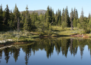 Природа в Лапландии, Финляндия – фотографии Финляндии