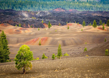 Дюны невероятной окраски в Лассен-Волканик (Lassen Volcanic), США – фотографии США