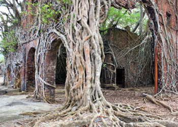 Туристический остров Росс в Индийском океане – фотографии Индии