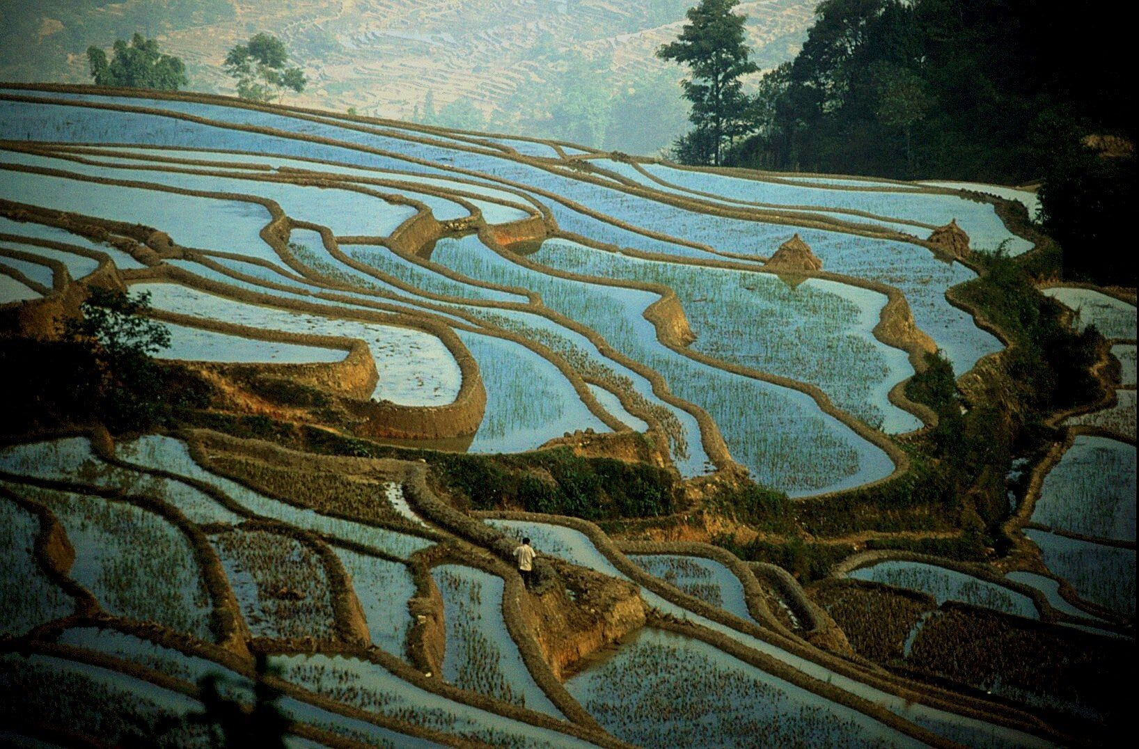 Рисовые террасы Хунхэ-Хани 10 – фотографии Китая