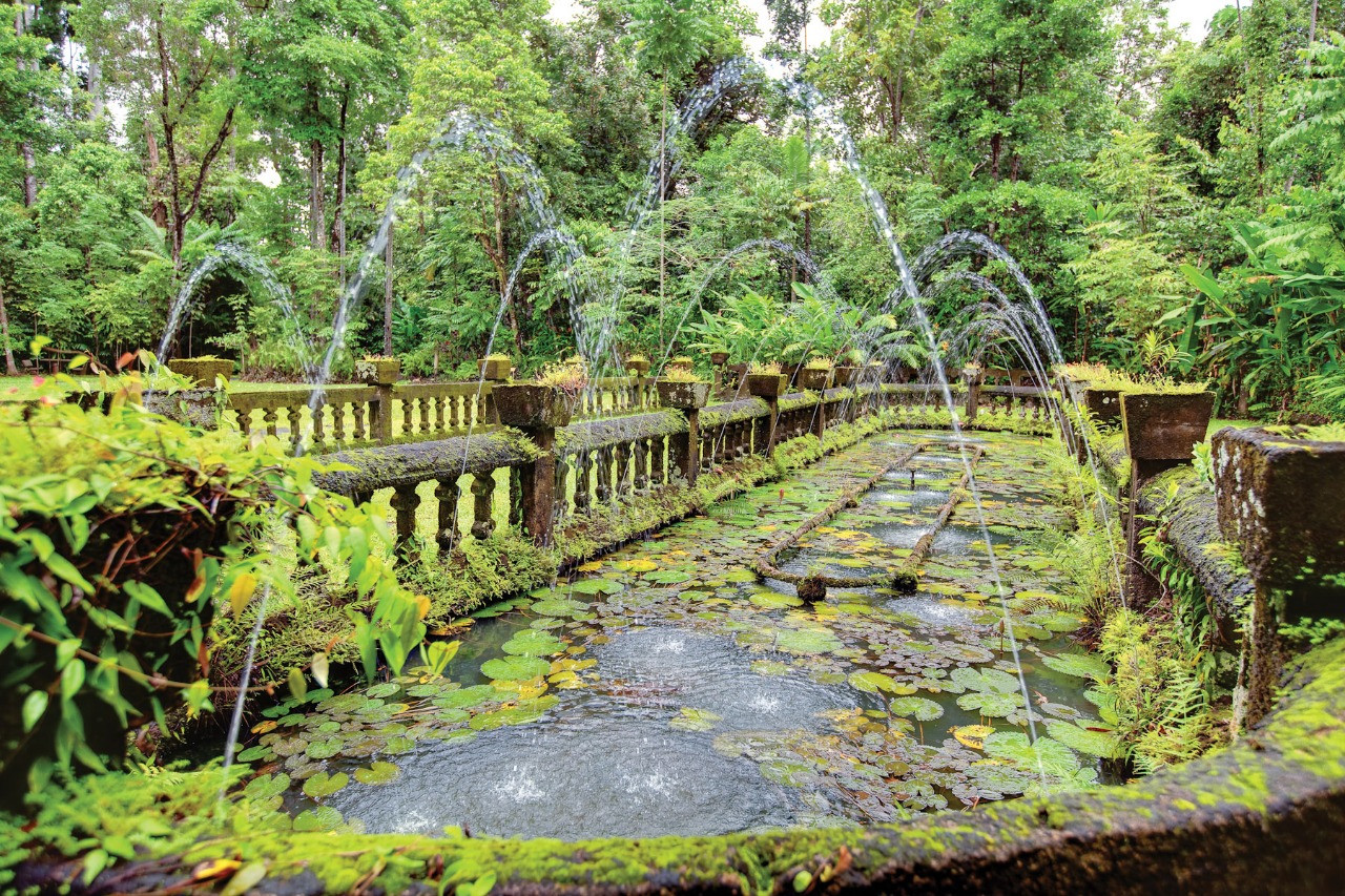 Приключенческий парк Паронелла, Кэрнс, Австралия – фотографии Австралии
