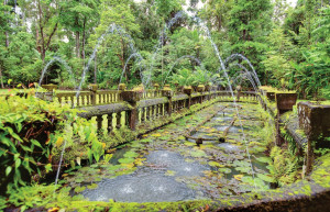 Приключенческий парк Паронелла, Кэрнс, Австралия – фотографии Австралии