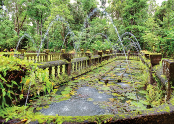 Приключенческий парк Паронелла, Кэрнс, Австралия – фотографии Австралии
