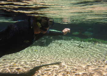 Река Прата (Rio da Prata) в Бониту – фотографии Бразилии