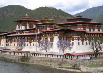 Пунакха-дзонг (Punakha Dzong) – фотографии Бутана