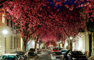 Перед любителями ночного образа жизни туннель на Херштрассе предстанет волшебным image-местом – фотографии Германии