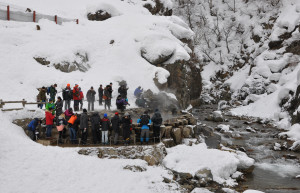 Парк обезьян Джигокудани (Jigokudani Monkey Park) расположен недалеко от города Нагано – фотографии Японии