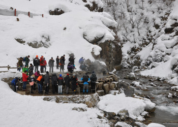 Парк обезьян Джигокудани (Jigokudani Monkey Park) расположен недалеко от города Нагано – фотографии Японии