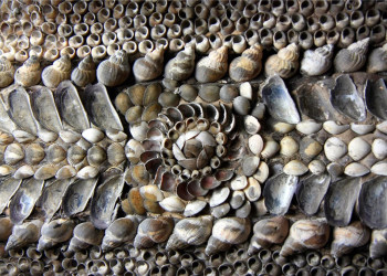 Ракушечный грот в городе Маргейт, Великобритания – фотографии Великобритании